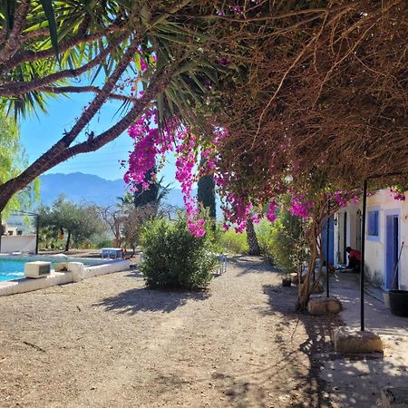 Cortijo Las Gallardas En Almeria Los Gallardos Kültér fotó